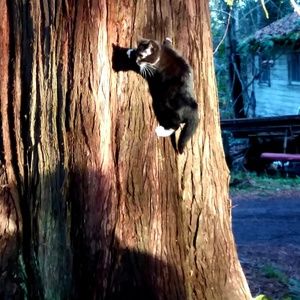 Meet your Posher, Colin